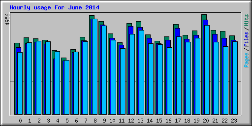 Hourly usage for June 2014