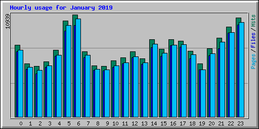 Hourly usage for January 2019