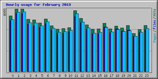 Hourly usage for February 2019