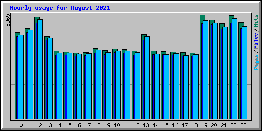 Hourly usage for August 2021